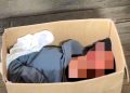 Tega! Warga Ketanen Pati Temukan Bayi dalam Kardus di Kursi Bengkel