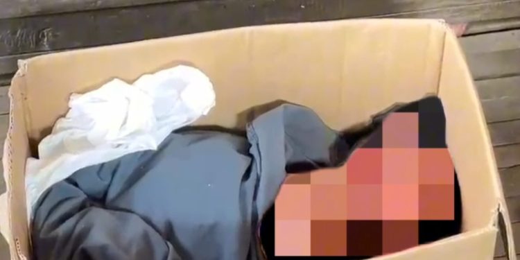 Tega! Warga Ketanen Pati Temukan Bayi dalam Kardus di Kursi Bengkel