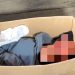 Tega! Warga Ketanen Pati Temukan Bayi dalam Kardus di Kursi Bengkel