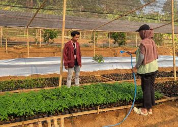 Hijaukan Kedungsari, Mahasiswa KKN UIN Sunan Kudus Bantu Rawat Bibit Pohon
