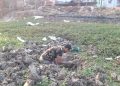 Kekeringan, Warga Demak Gali Kubangan di Sungai Mengering untuk Kebutuhan Harian