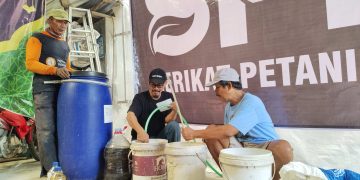 Diklaim Hemat 50 Persen, Petani di Pati Inovasi Buat Pupuk Cair Nitrobacter
