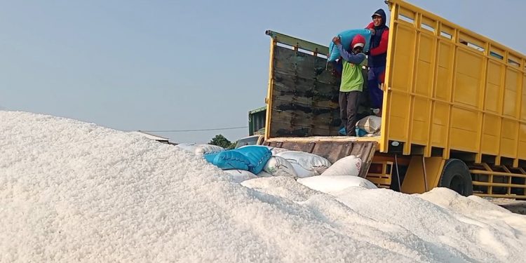 Dibalik Program Swasembada Garam, Petani Demak Keluhkan Harga Jual Anjlok