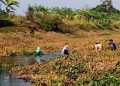 Kabar Gembira! Air Waduk Kedung Ombo Mulai Masuk Pati