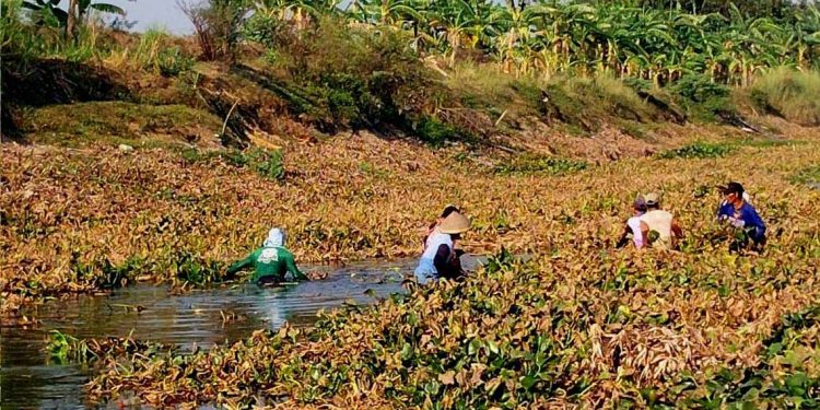 Kabar Gembira! Air Waduk Kedung Ombo Mulai Masuk Pati