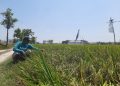 Rusak 4 Tahun Tak Diperbaiki, Irigasi Waduk Logung Tak Bisa Airi Sawah di Margorejo