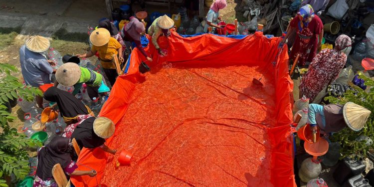 Sebulan Kekeringan, Desa Kletek Pati Jarang Tersentuh Bantuan Air