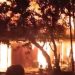 Ditinggal ke Jakarta, Rumah di Krandon Demak Terbakar, 2 Lainnya Ikut Hangus