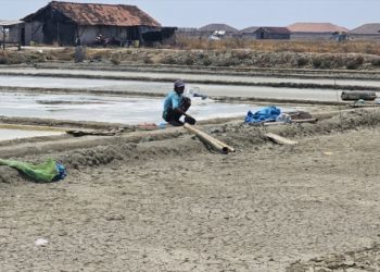 Kisah Pramono Kais Air Laut dengan Ember Demi Tetap Produksi Garam