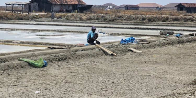 Kisah Pramono Kais Air Laut dengan Ember Demi Tetap Produksi Garam